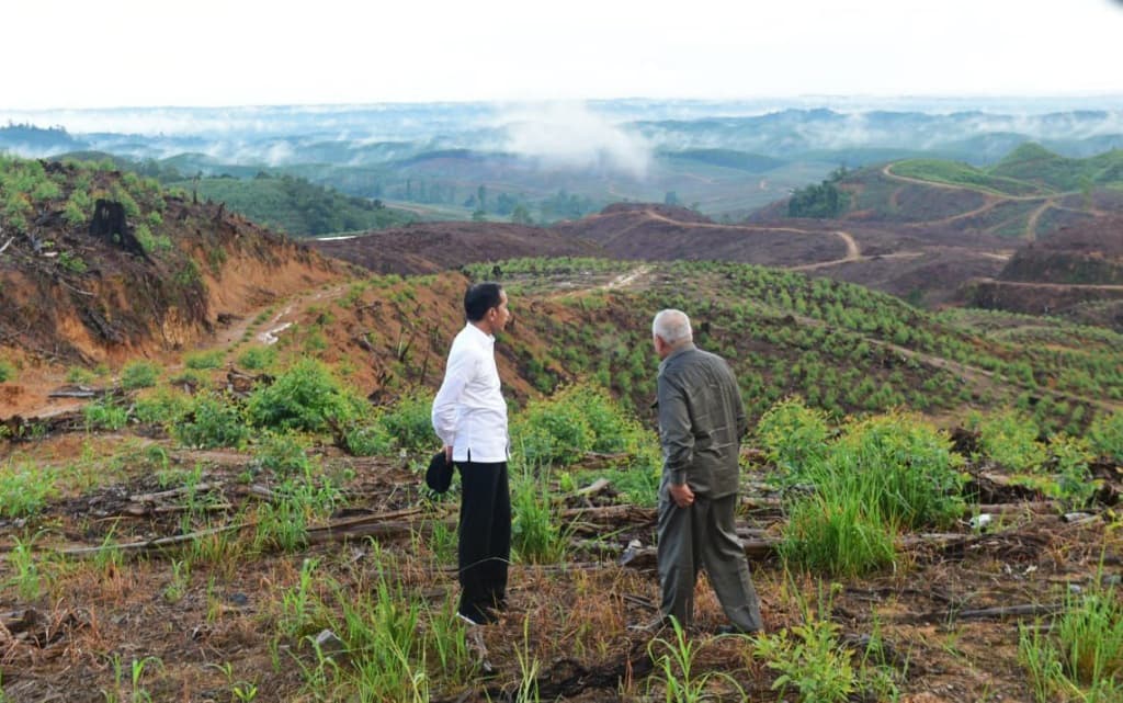East Kalimantan's Forest Sounds Are Being Documented Before Nusantara Erases Them